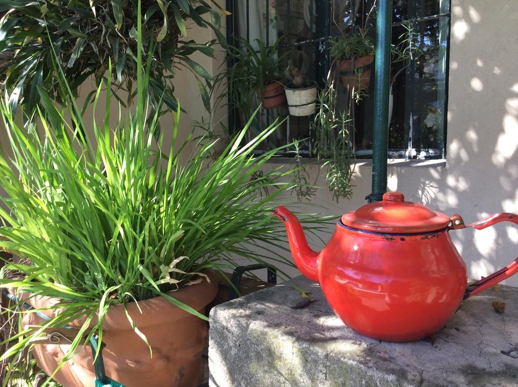 Casa Ruchi 1893 Acomodação com café da manhã Tigre Exterior foto