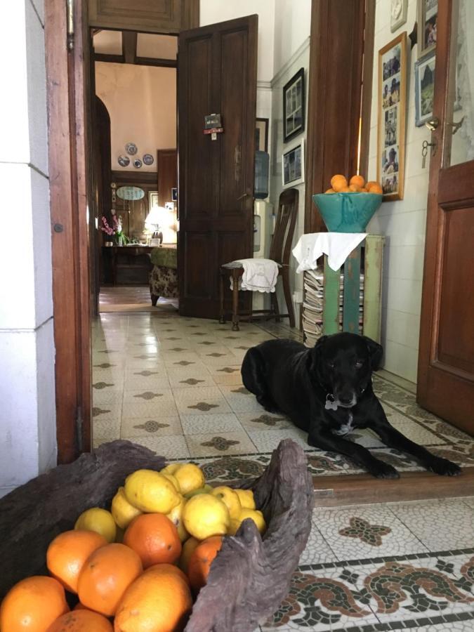 Casa Ruchi 1893 Acomodação com café da manhã Tigre Exterior foto